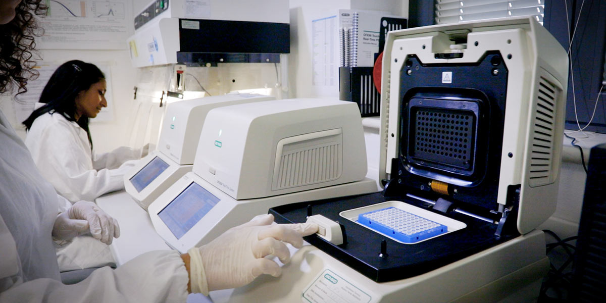 ToBRFV: la ricerca di ISI Sementi fa il punto sulla situazione